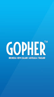 Berbagai Keunggulan Gopher Indonesia untuk Bisnis Anda